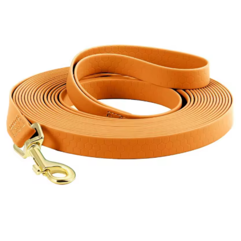 Longe pour chien-PVC imperméable