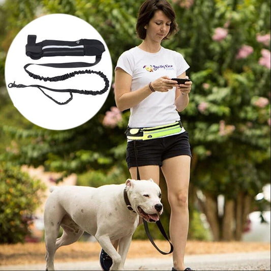 Laisse pour chien- Sac Banane