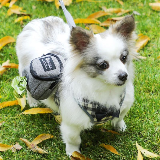 Sac pour chien ELEGANTE BALADE