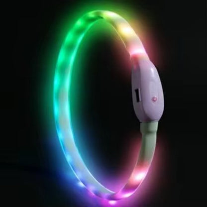 Collier lumineux chien-Led couleur