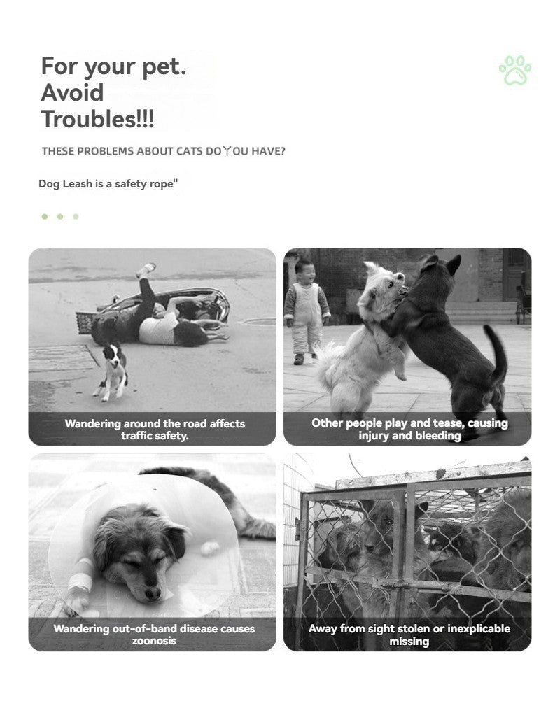 Longe pour chien-PVC imperméable