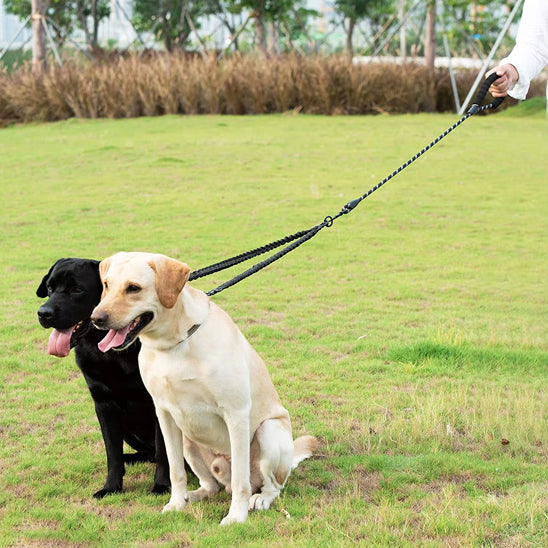 Laisse pour chien-Double longue