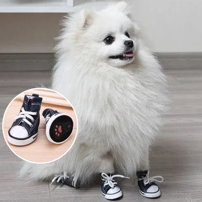 Chaussure Chien | PawProtect