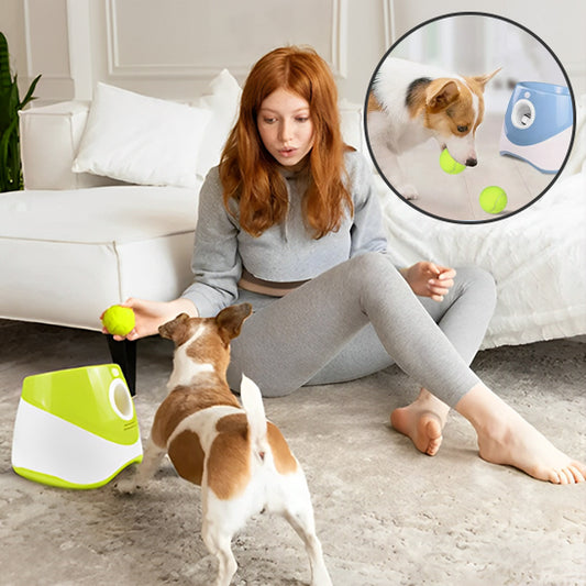 Lanceur de Balle pour chien- Automatique