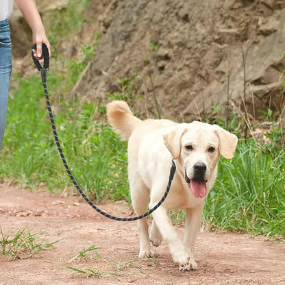 Laisse pour chien-Double longue
