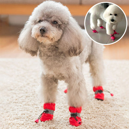 Chaussures chien | Protection Tout-Terrain