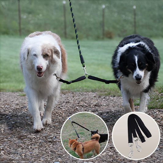 Laisse double pour chien-Rallonge double