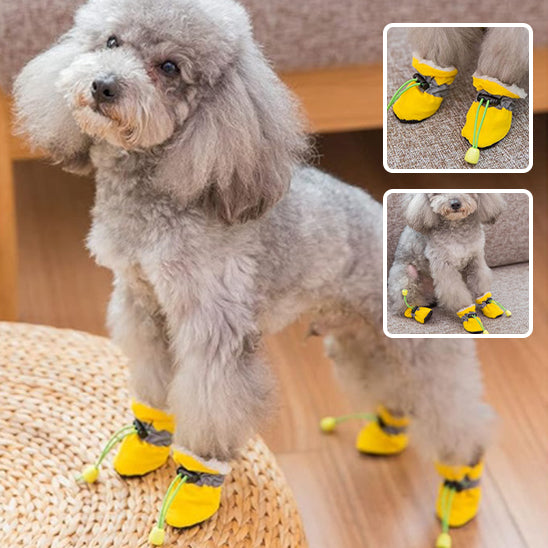 Chaussures chien | Protection Tout-Terrain