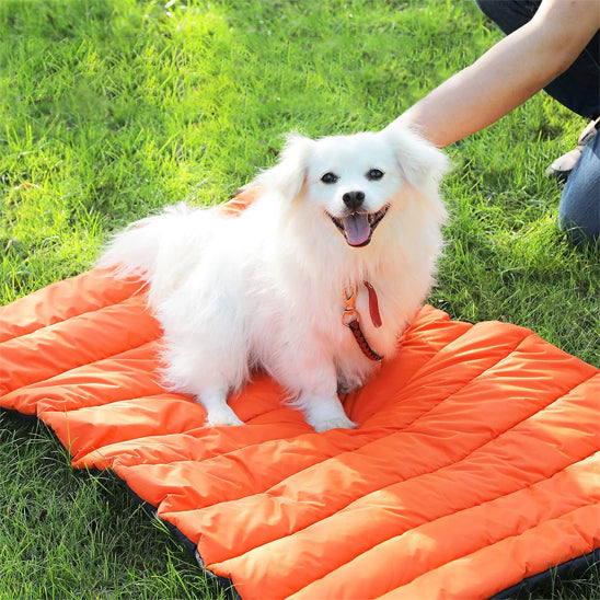 Sac pour chien - Sac de couchage