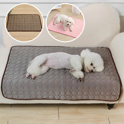 Tapis rafraichissant chien- Coussin refroidissant