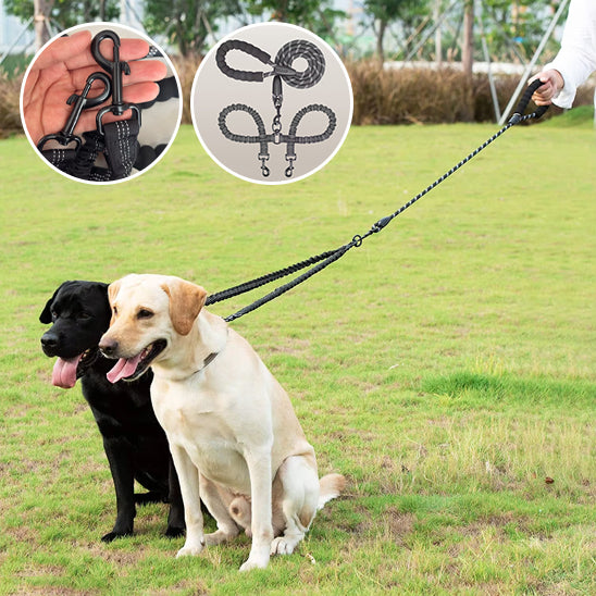Laisse pour chien-Double longue