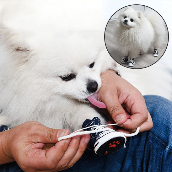 Chaussure Chien | PawProtect