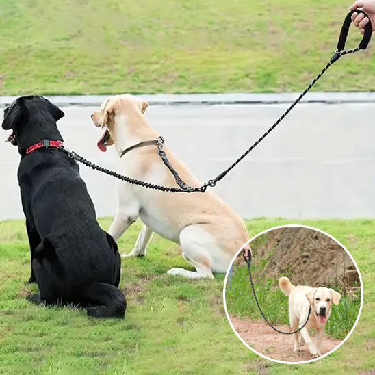 Laisse pour chien-Double longue