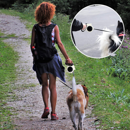 Laisse pour chien-Enroulable Lumineuse