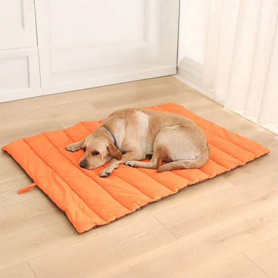 Sac pour chien - Sac de couchage