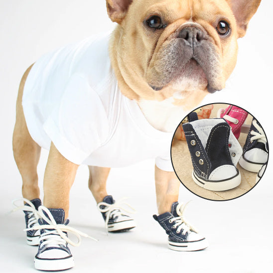Chaussure Chien | PawProtect