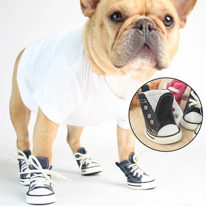 Chaussure Chien | PawProtect