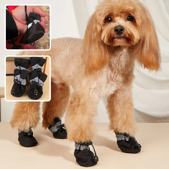 Chaussures chien | Protection Tout-Terrain