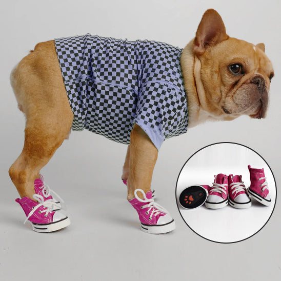 Chaussure Chien | PawProtect