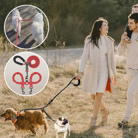 Laisse pour chien-Double longue