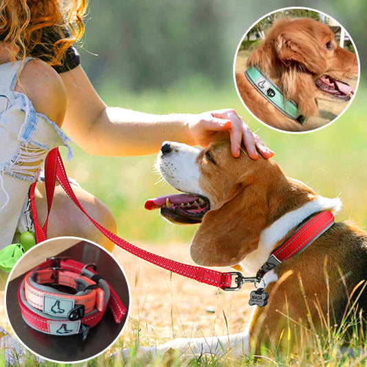 Collier pour chien-Réfléchissant Joytale