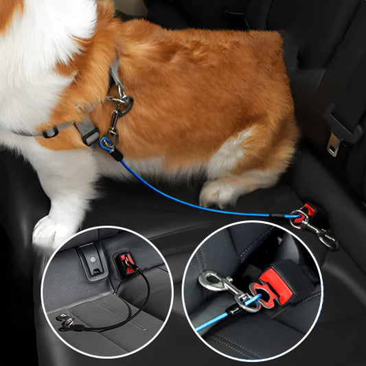 Laisse pour chien-Wire polyvalent