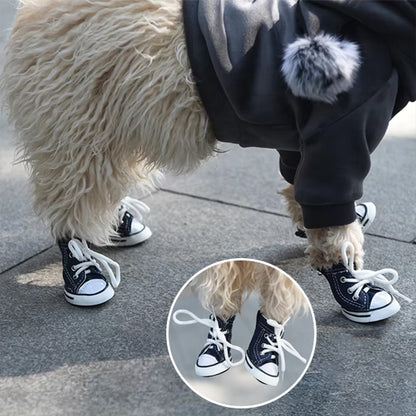 Chaussure Chien | PawProtect