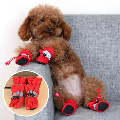 Chaussures chien | Protection Tout-Terrain