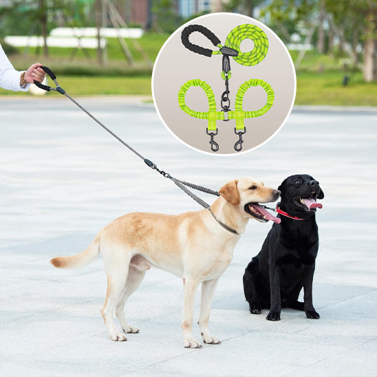 Laisse pour chien-Double longue