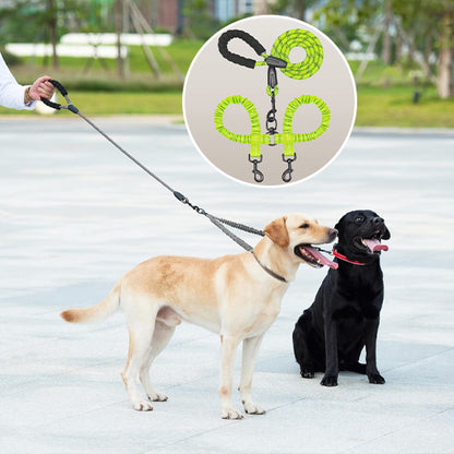 Laisse pour chien-Double longue