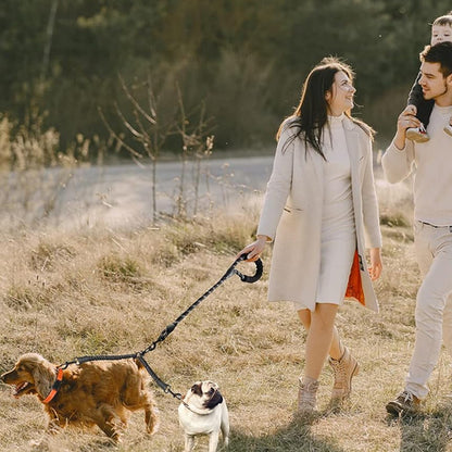 Laisse pour chien-Double longue