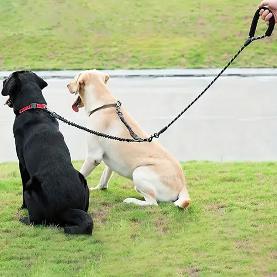 Laisse pour chien-Double longue