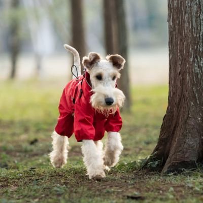 Imperméable pour chien​