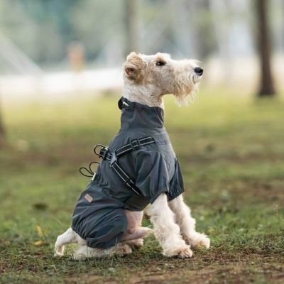 Imperméable pour chien​
