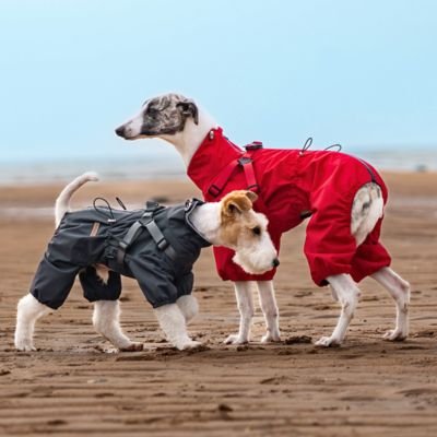 Imperméable pour chien​