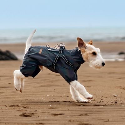 Imperméable pour chien​