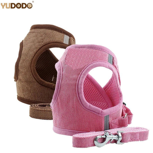 Laisse chien - Harnais chien Duo YUDODO - Le Chihuahua Voyageur