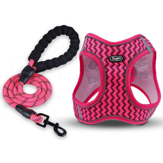 Laisse chien - Supet Tank Top Traction Rope - Le Chihuahua Voyageur