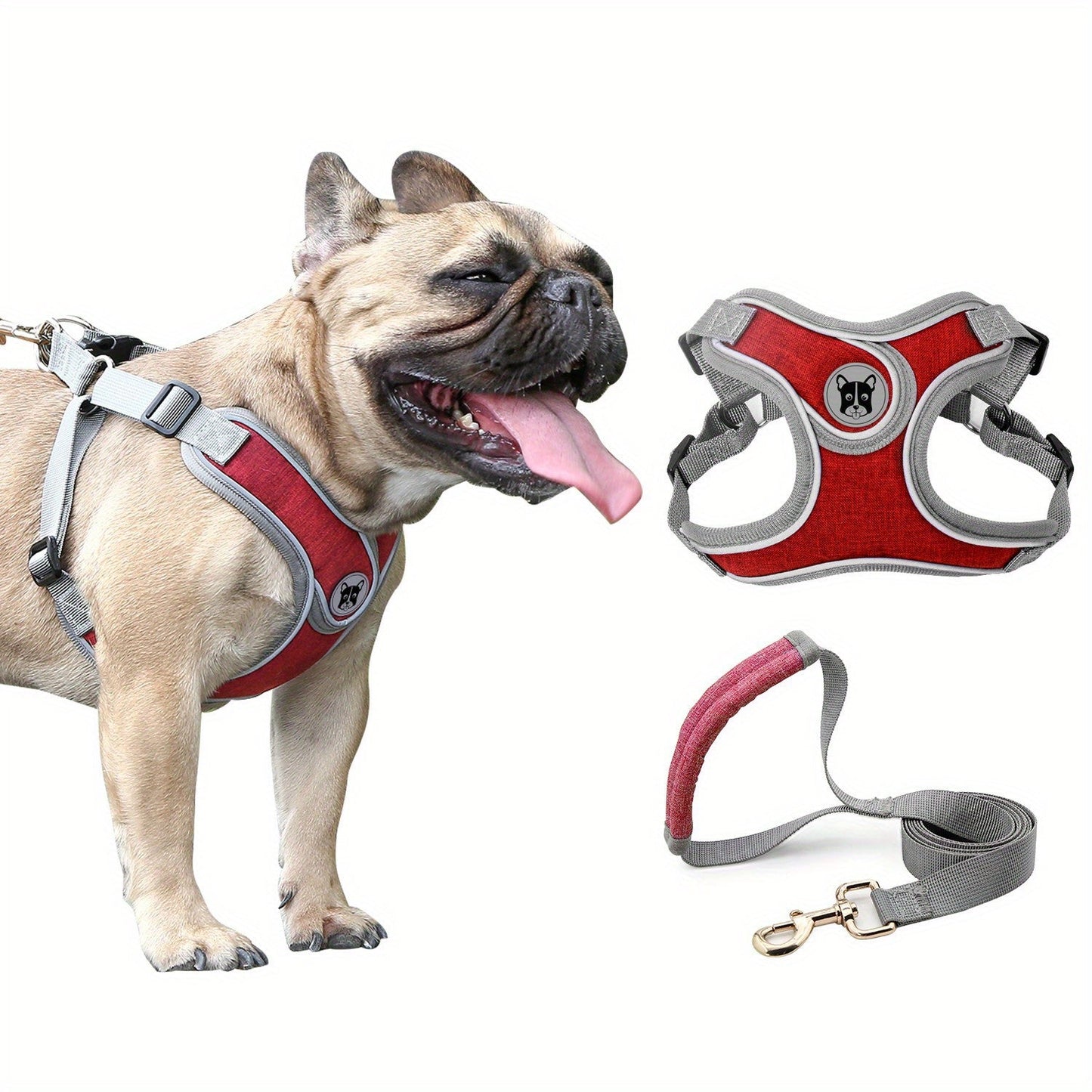 Laisse de chien - Bulldog Laisse - Harnais pour chien - Le Chihuahua Voyageur