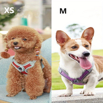 Laisse de chien - Bulldog Laisse - Harnais pour chien - Le Chihuahua Voyageur