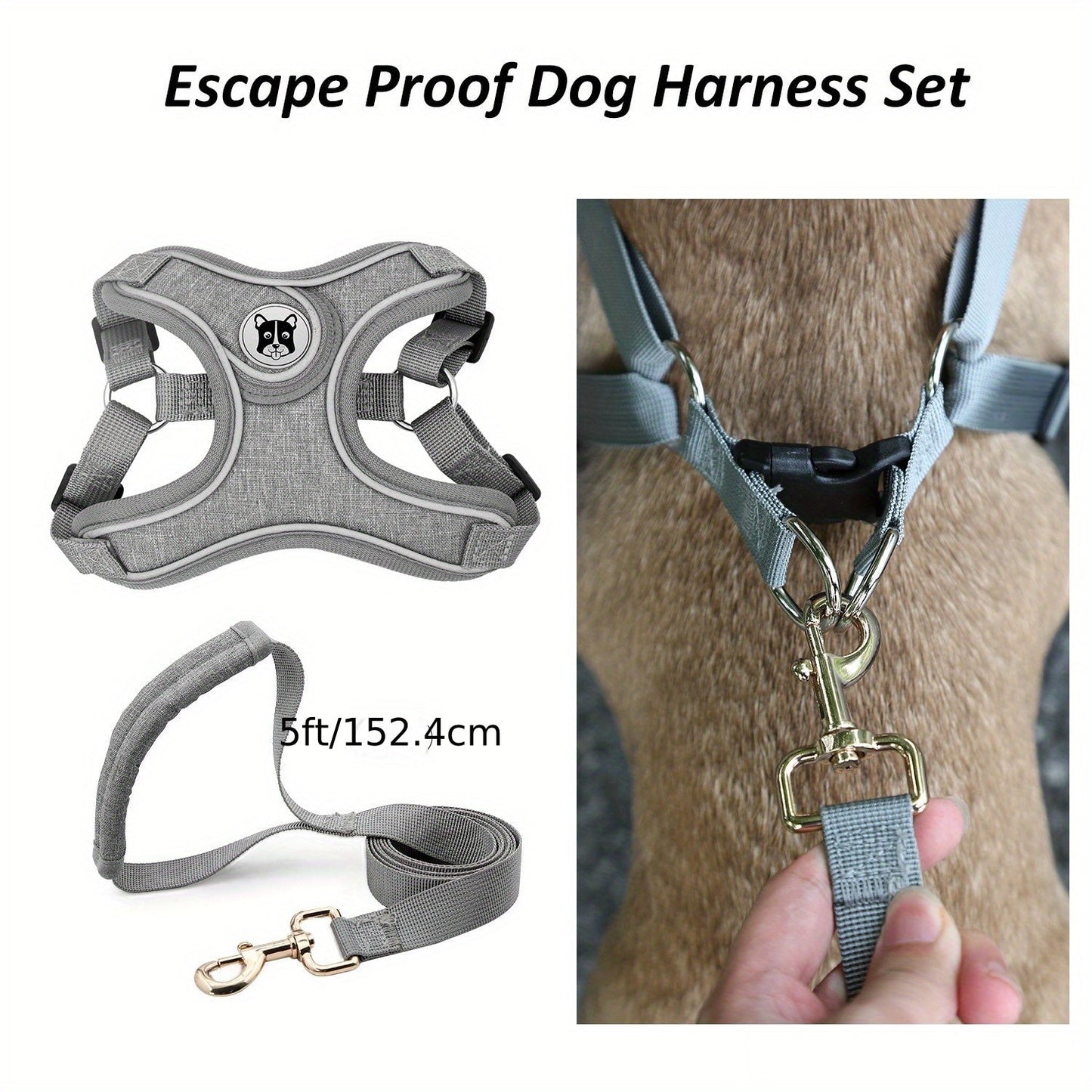 Laisse de chien - Bulldog Laisse - Harnais pour chien - Le Chihuahua Voyageur