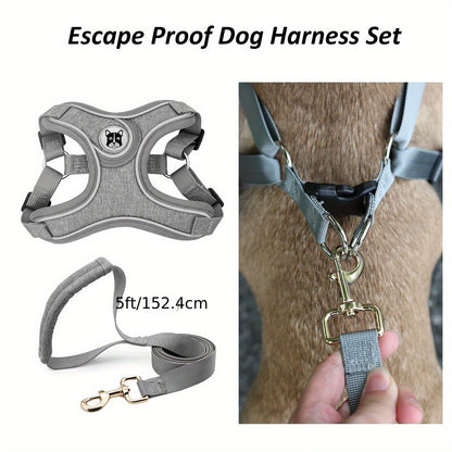 Laisse de chien - Bulldog Laisse - Harnais pour chien - Le Chihuahua Voyageur