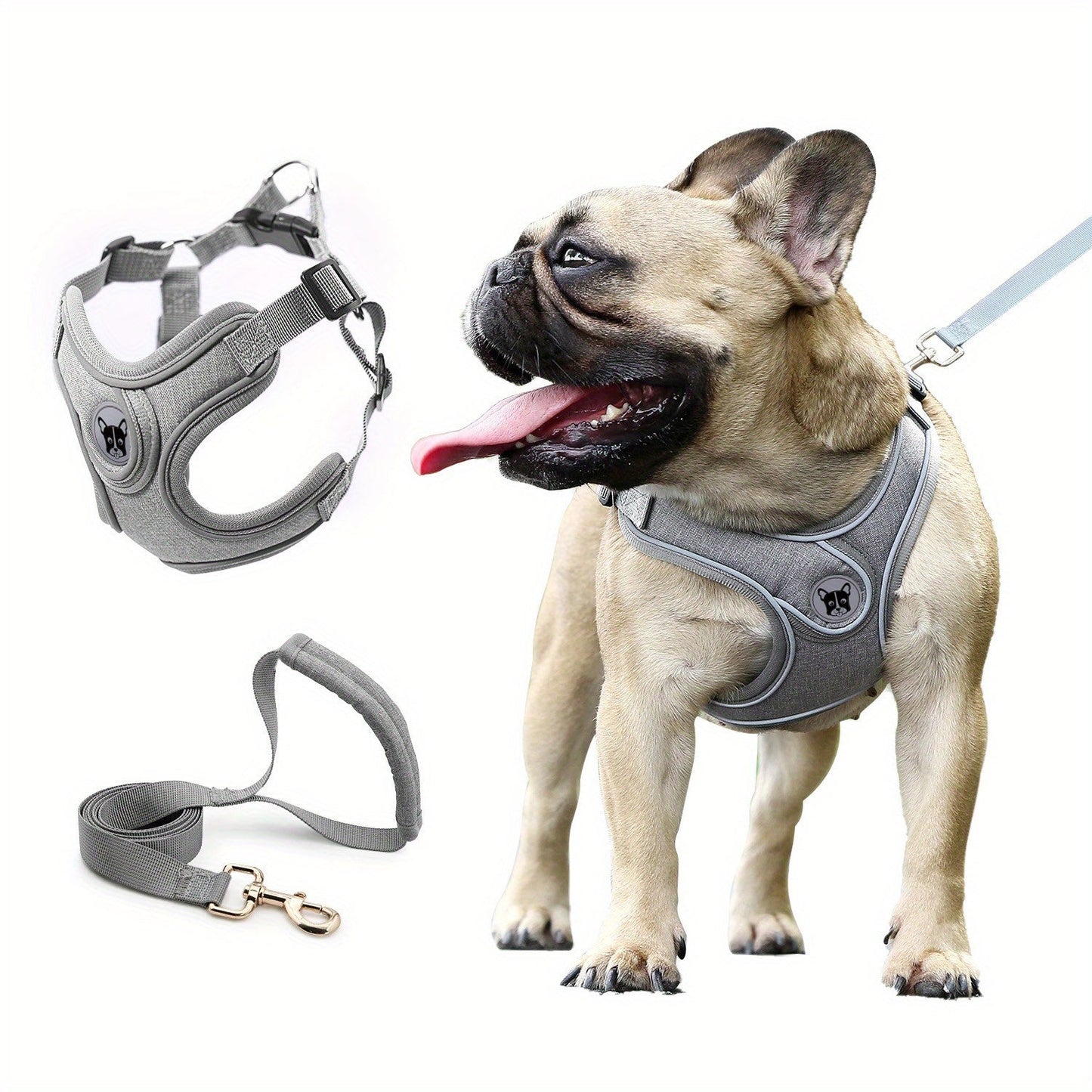 Laisse de chien - Bulldog Laisse - Harnais pour chien - Le Chihuahua Voyageur