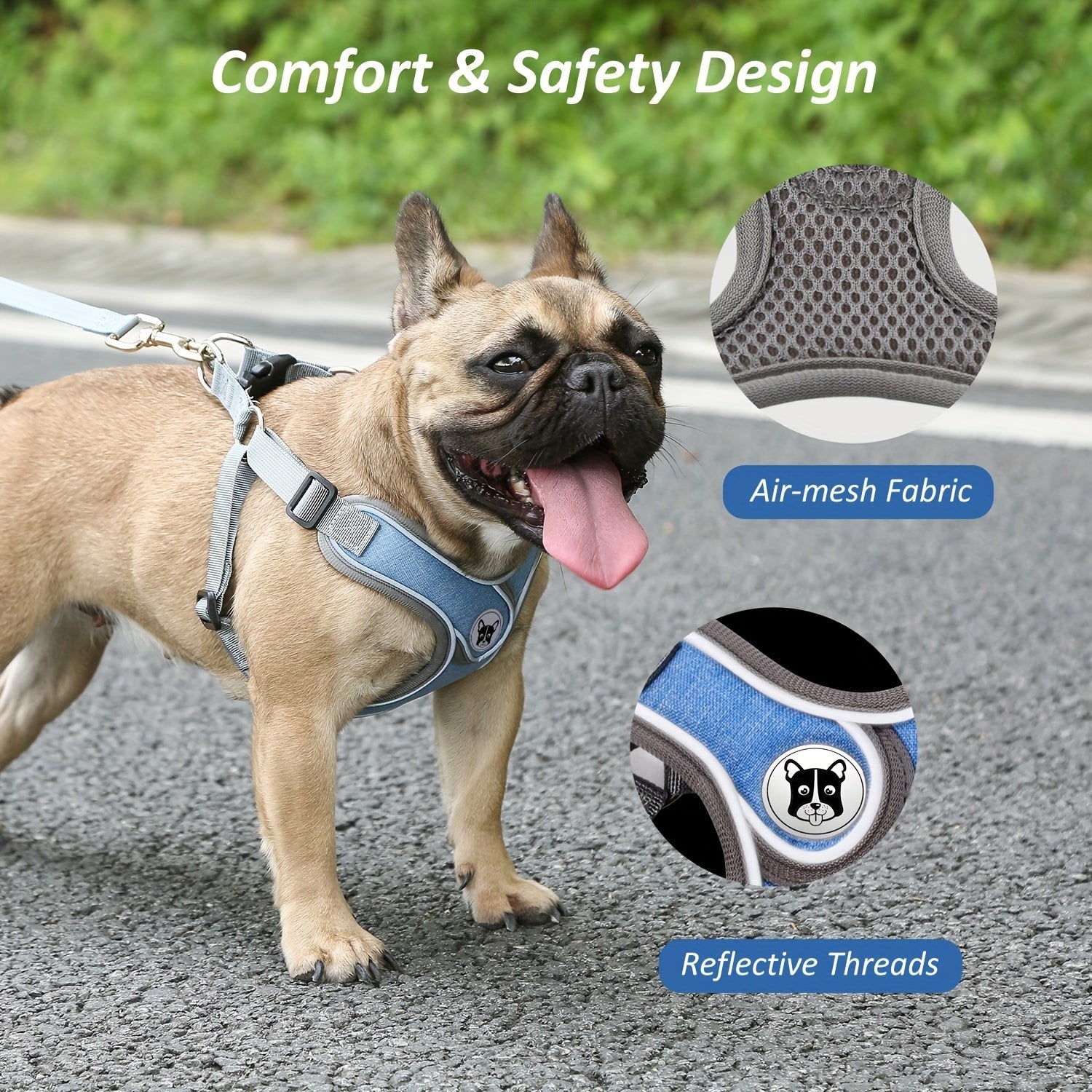 Laisse de chien - Bulldog Laisse - Harnais pour chien - Le Chihuahua Voyageur