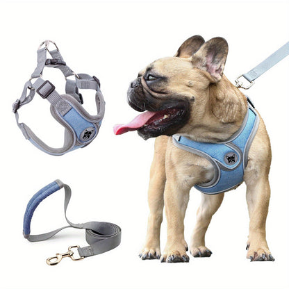 Laisse de chien - Bulldog Laisse - Harnais pour chien - Le Chihuahua Voyageur