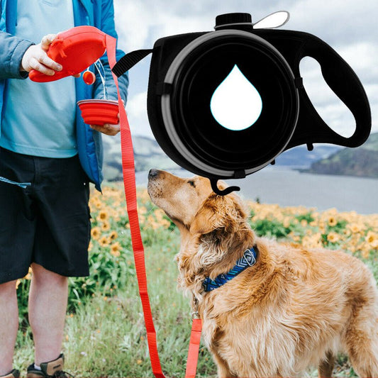 Laisse multifonction pour animaux de compagnie - Le Chihuahua Voyageur