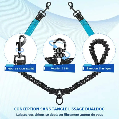 Laisse pour chien - Double 360 Swivel - Le Chihuahua Voyageur