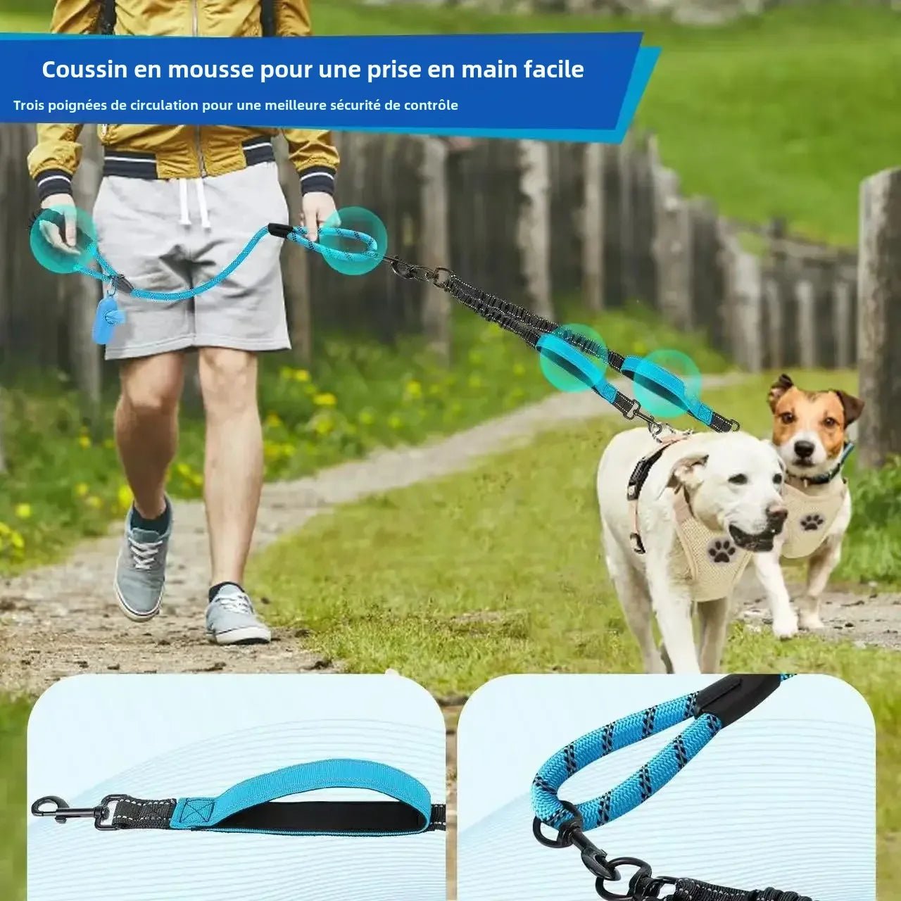 Laisse pour chien - Double 360 Swivel - Le Chihuahua Voyageur