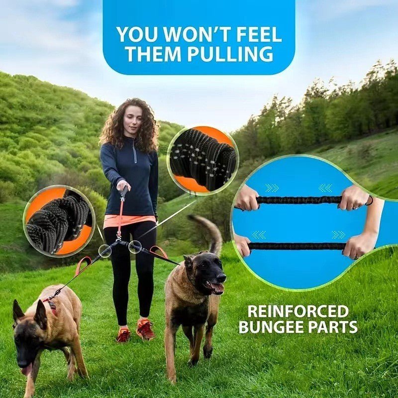 Laisse pour chien - Double rallonge anti - choc - Le Chihuahua Voyageur
