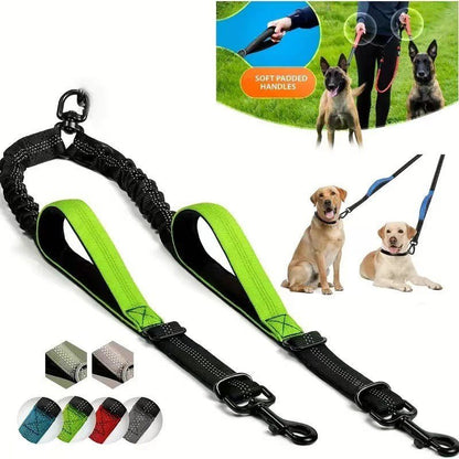 Laisse pour chien - Double rallonge anti - choc - Le Chihuahua Voyageur